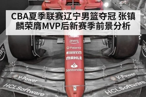 CBA夏季联赛辽宁男篮夺冠 张镇麟荣膺MVP后新赛季前景分析